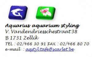logo aquarius