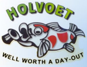 logo holvoet