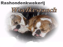 lRashondenkwekerij Woefkesranch