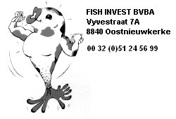 logo fish invest