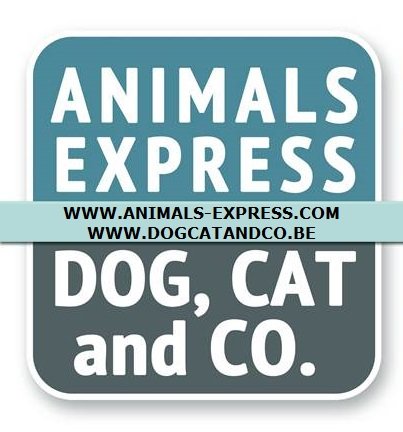 NIEUW LOGO DOGCATANDCO