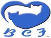 Belgian Cat Fanciers vzw