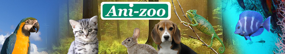 ANI-ZOO