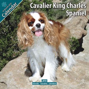 calendrier Cavalier